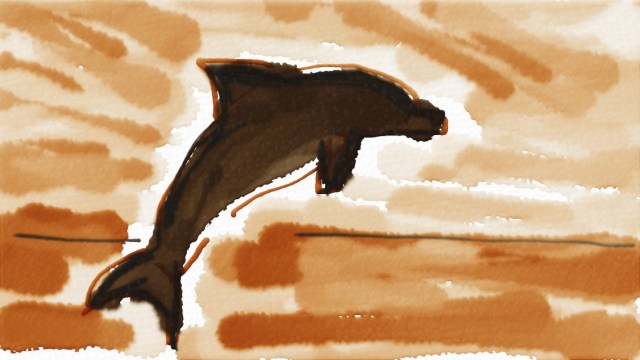 Common Dolphin at Sunset in Auryn Ink