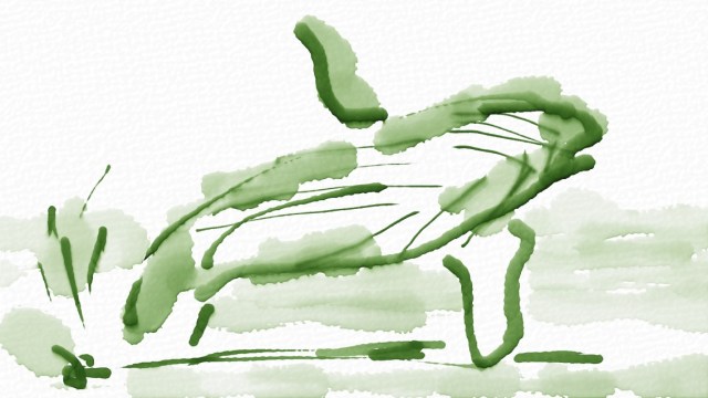 Humpback Whale in Auryn Ink