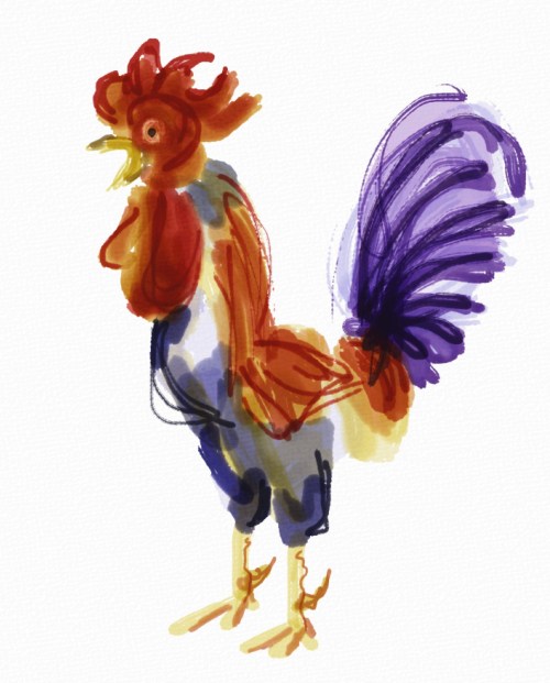 Rooster in Auryn Ink