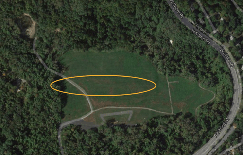 Flying below the treeline