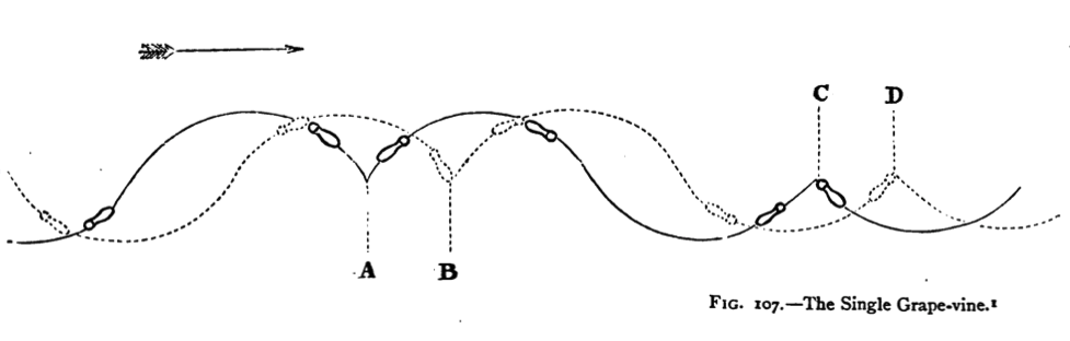 Diagram of the Simple Grapevine, from A System of Figure-skating, by H. E. Vandervell and H. Cox, 1880.