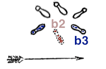 Lifting & moving the right foot to b3