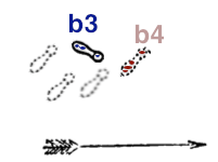 Lifting & moving the left foot to b4