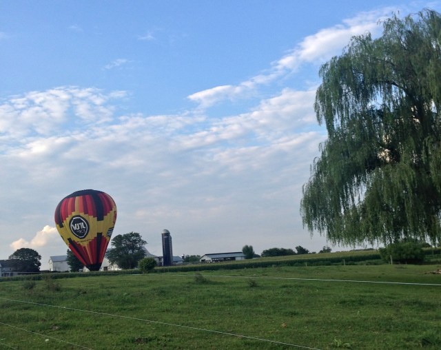 2015_birds_in_hand_ballons_img_7921