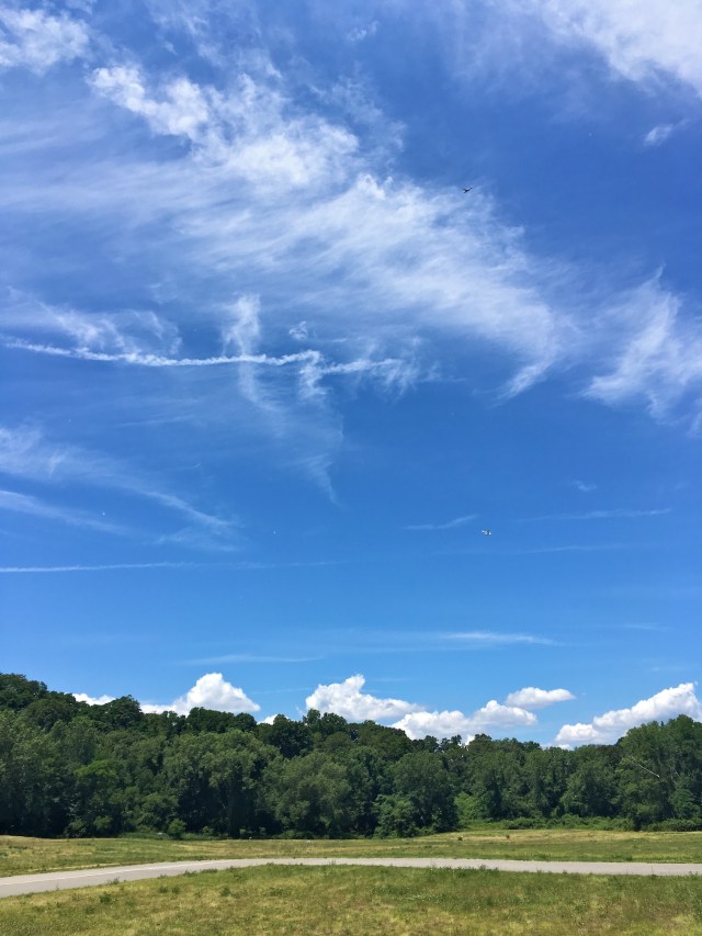 hhams2016_summer_img_5484