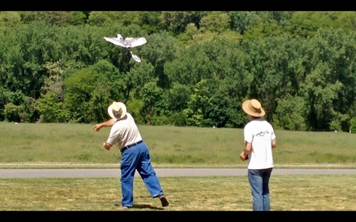 hhams_field_2015_skyonme_spybird_fred_15