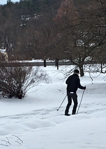Someone tried to do cross-country skiing