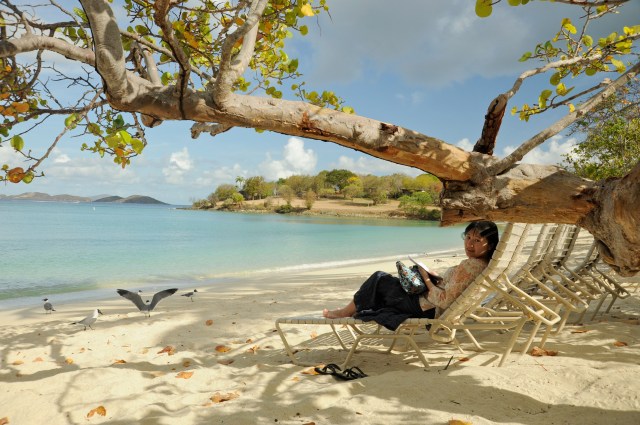 Beach chairs are everywhere