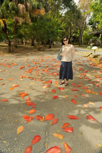 Walking around campus