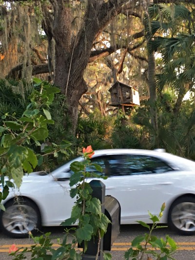 Neighborhood Treehouse