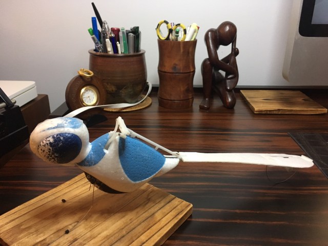 Dragonfly after 10 years in a box