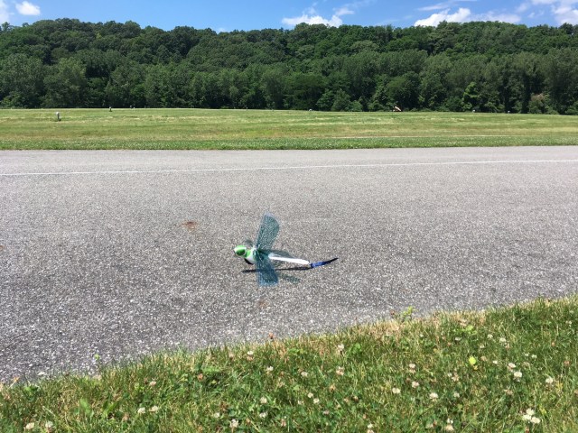 Trying to take off from the runway