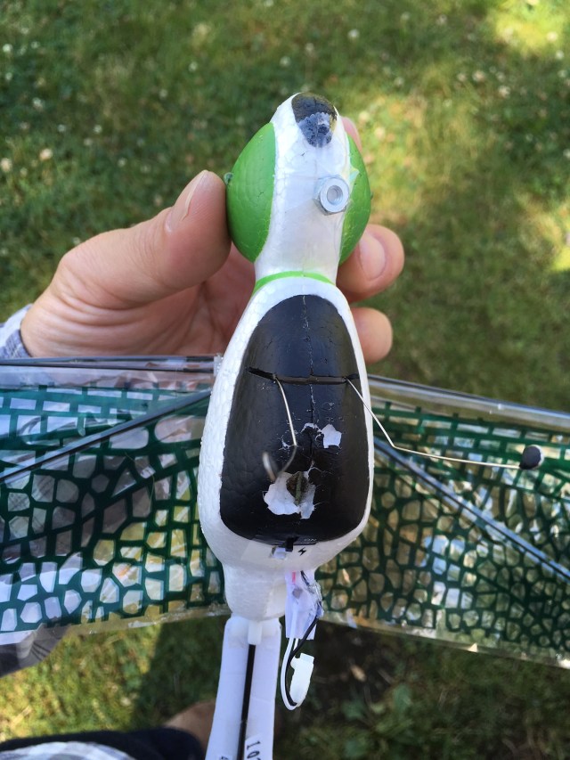 Metal magnet rest ripped out