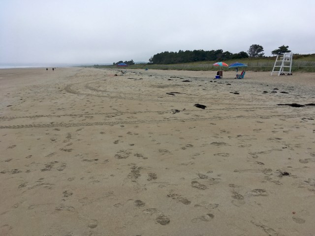 Turn right for North Beach