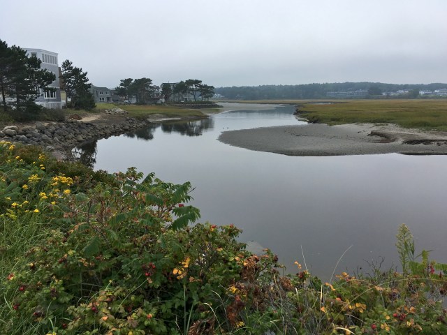 Ogunquit River at mid tide