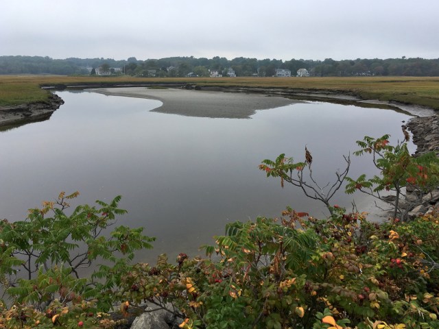 Ogunquit River and marshland