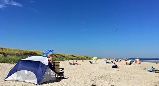 Two kites tied to beach volleyball poles