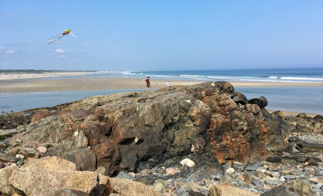 Flying an octopus kite at Marginal Way