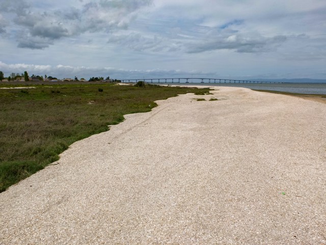 Shells Dirt Jumps at the Beach Park, Foster City