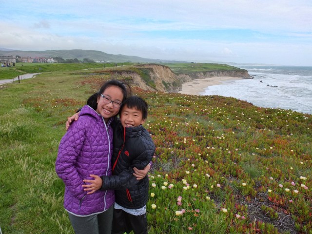 Beach and Cliff at Ritz-Carlton, Half Moon Bay