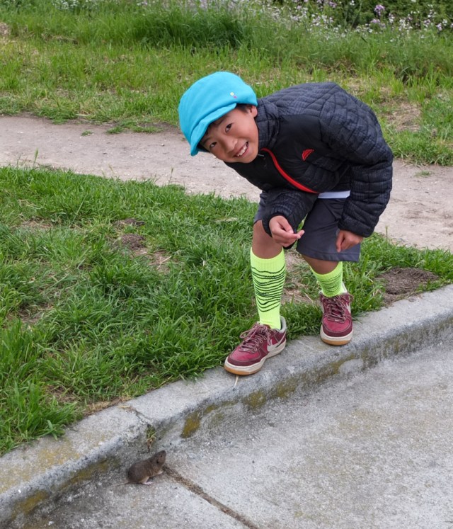 a mouse at Half Moon Bay