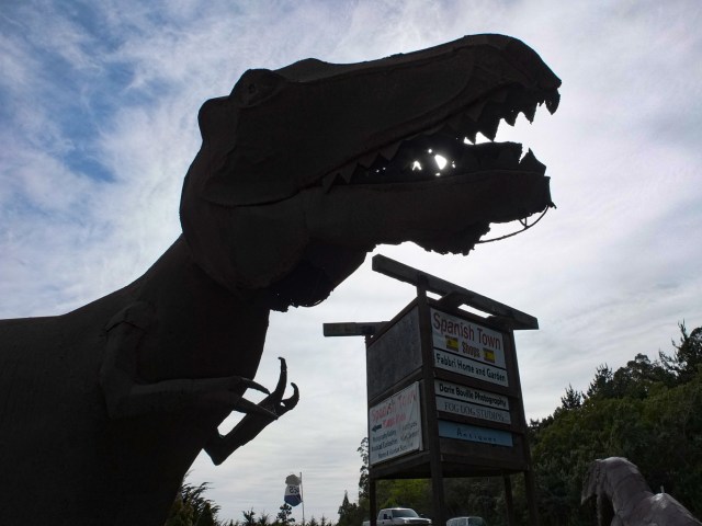 A sculpture of Tyrannosaurus rex at Spanish Town, Half Moon Bay