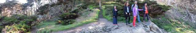 Panorama during a walk in the woods at Point Lobos, Monterey Bay