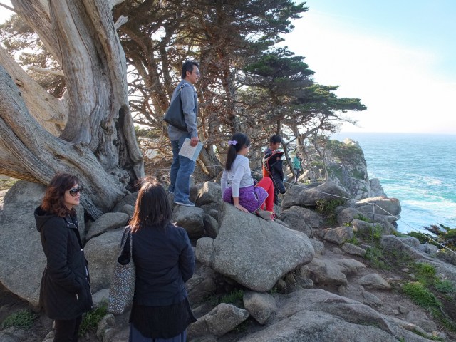 A view of the Ocean and rock formations at Point Lobos, Monterey Bay