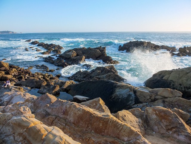 Sunset at S Shore Trail at Point Lobos, Monterey Bay