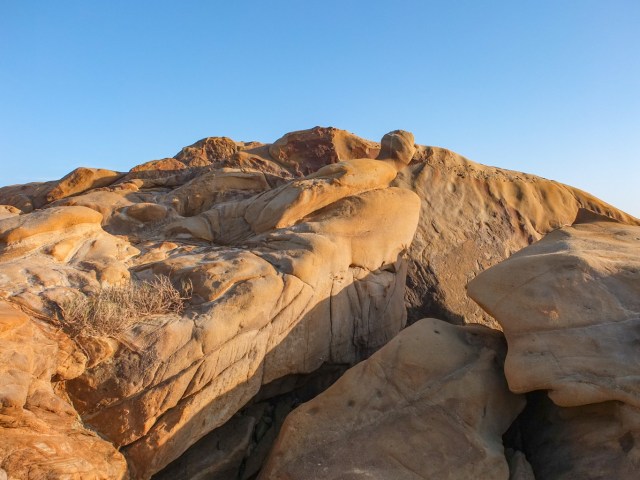Figurehead of a ship at Point Lobos, Monterey Bay - Mimetoliths - rock shapes