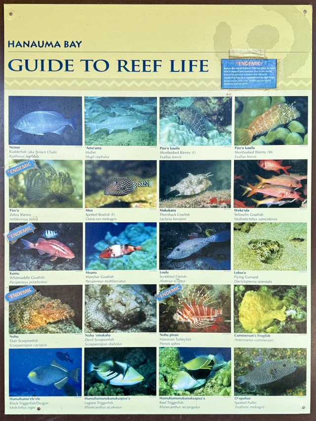 Fish identification chart posted by the information booth at Hanauma Bay
