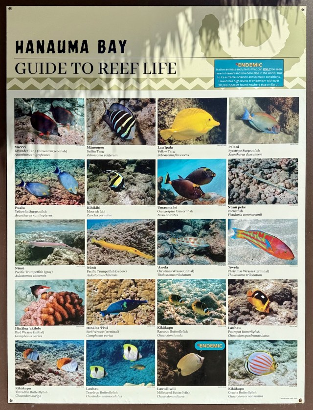 Fish identification chart posted by the information booth at Hanauma Bay