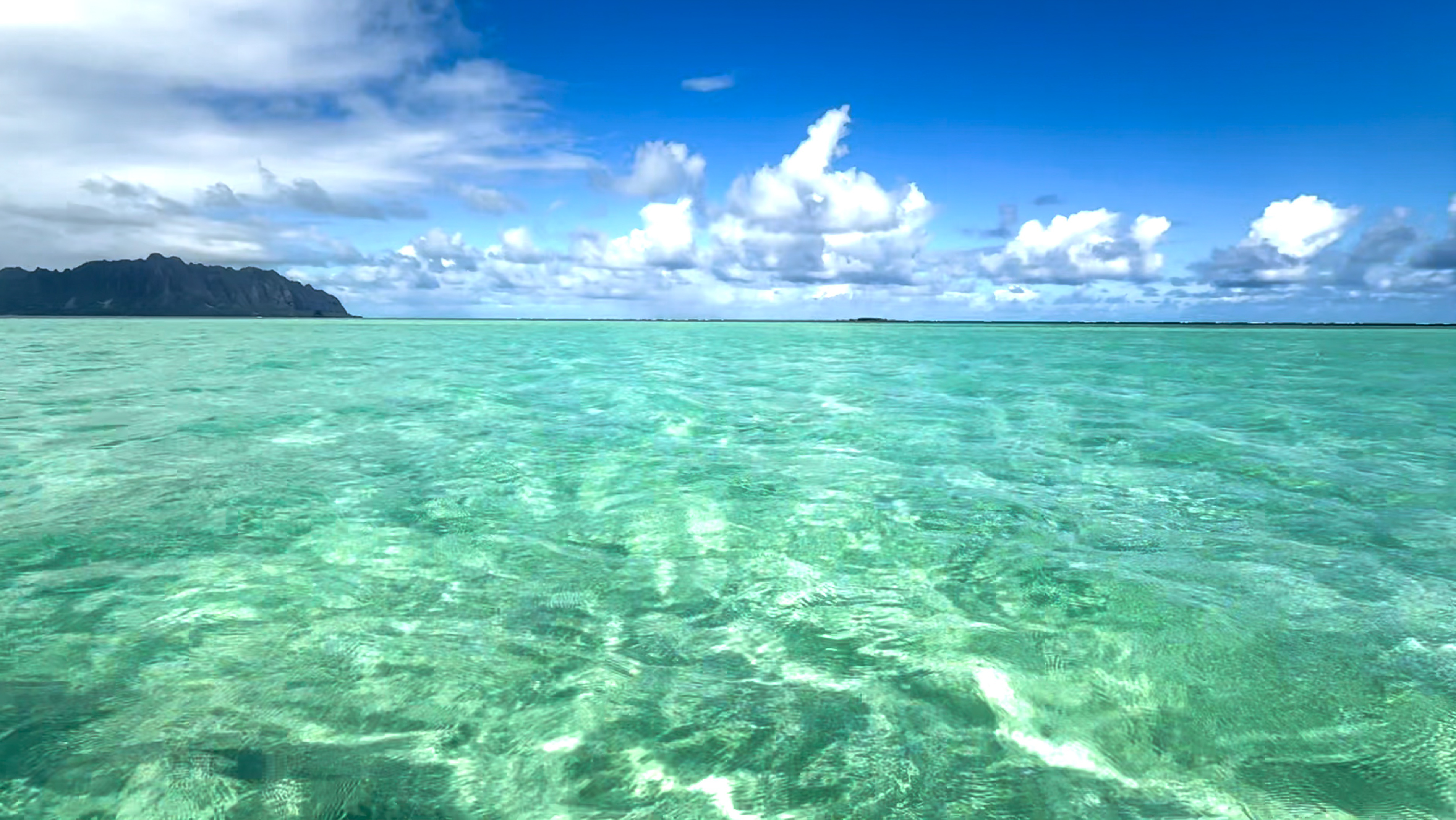 Kapapa Island can be seen in the distant straight ahead, as I marveled at the Sunken Island submerged under waist-height water at Kaneohe Sandbar