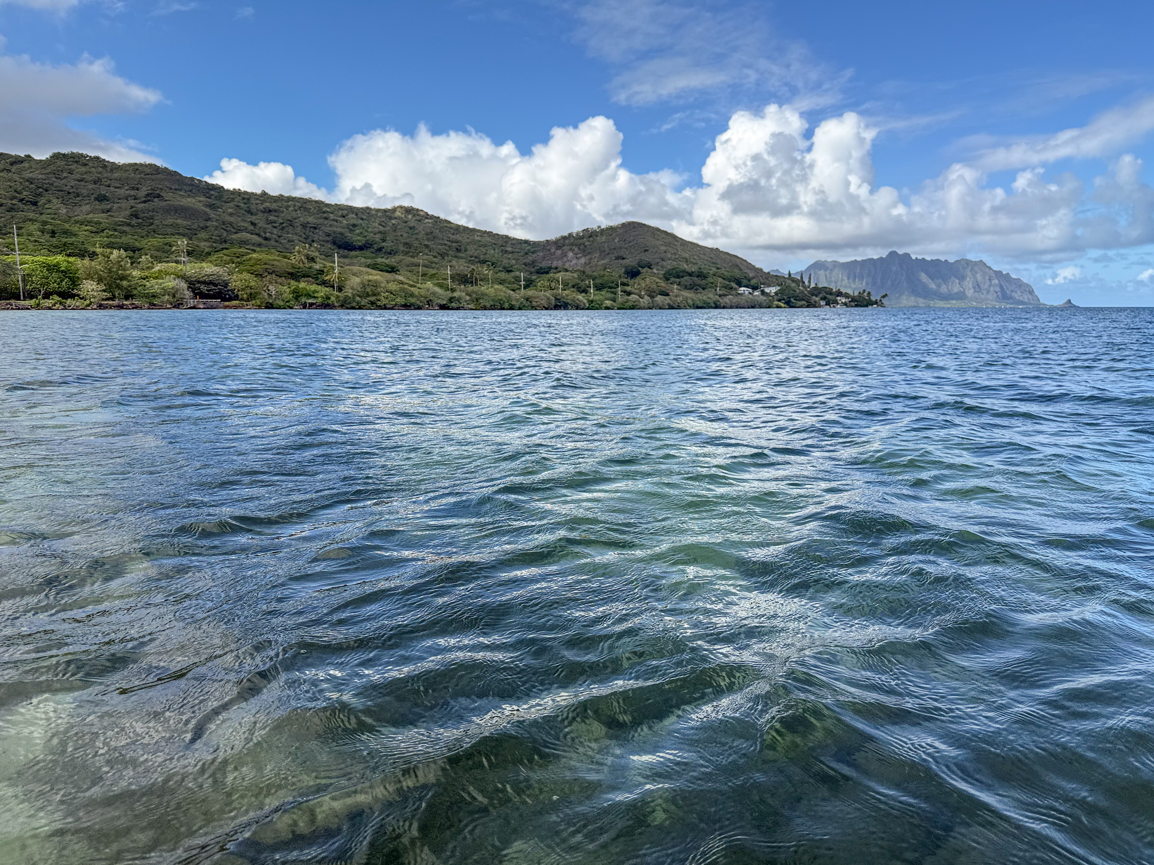 Shallow reef at high tide - probably exposed at low tide