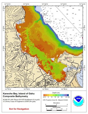 Bathymetric chart from SOEST - Kaneohe Sandbar 4m grid